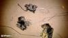 Suzuki Swift Sedan oldals ajt zr