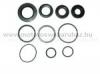 Szimering HONDA X8R, SKY, SH 50 (100641300) RMS szett